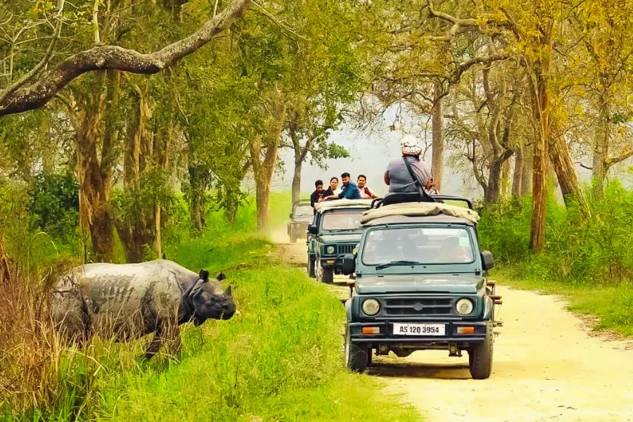 Kaziranga Jeep Safari
