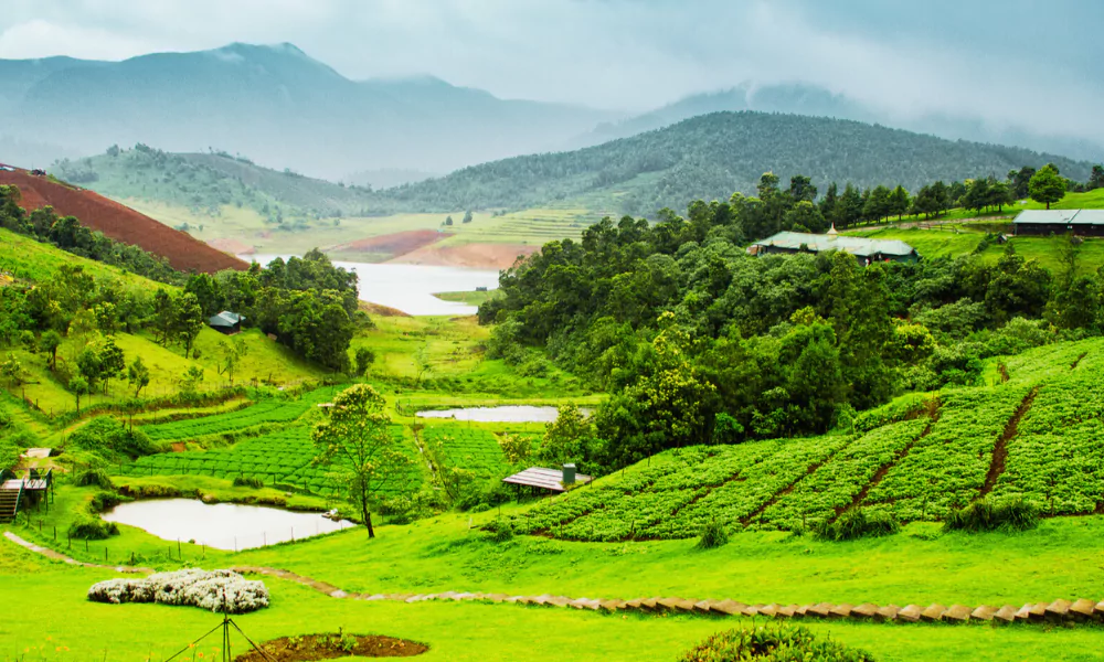 Ooty