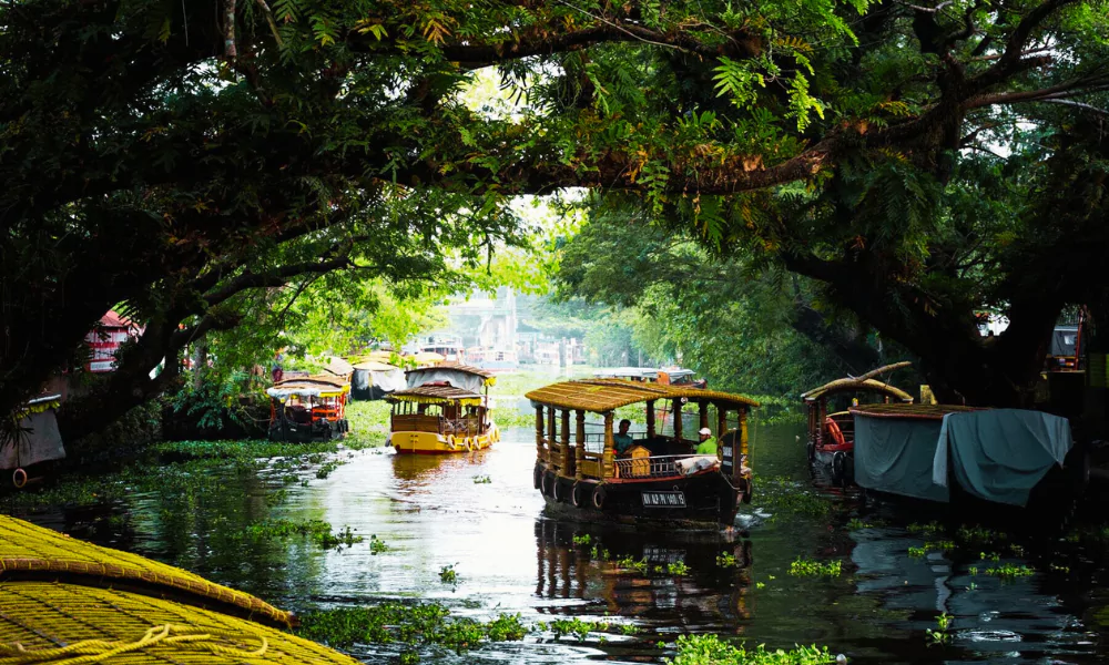 Alappuzha