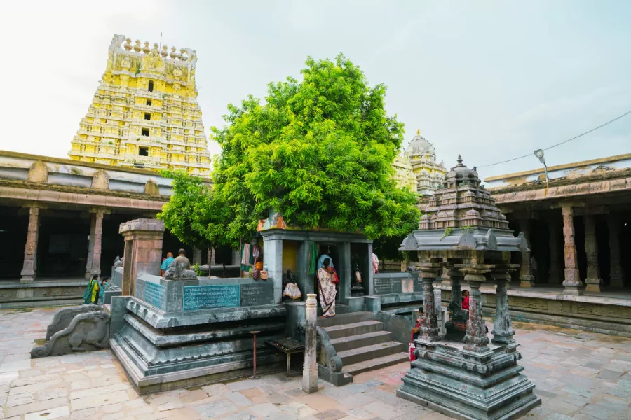 Ekambareswarar Temple