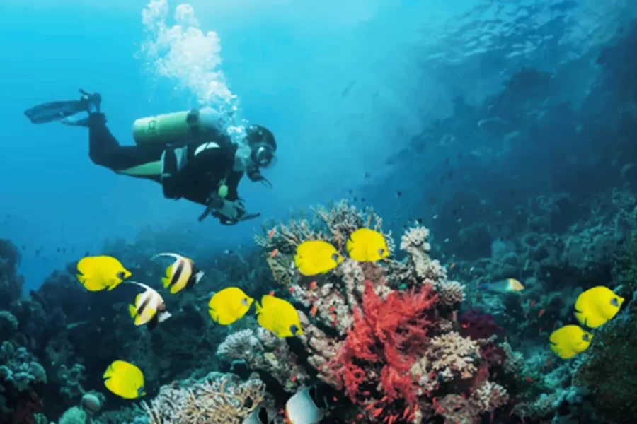 Goa Scuba Diving