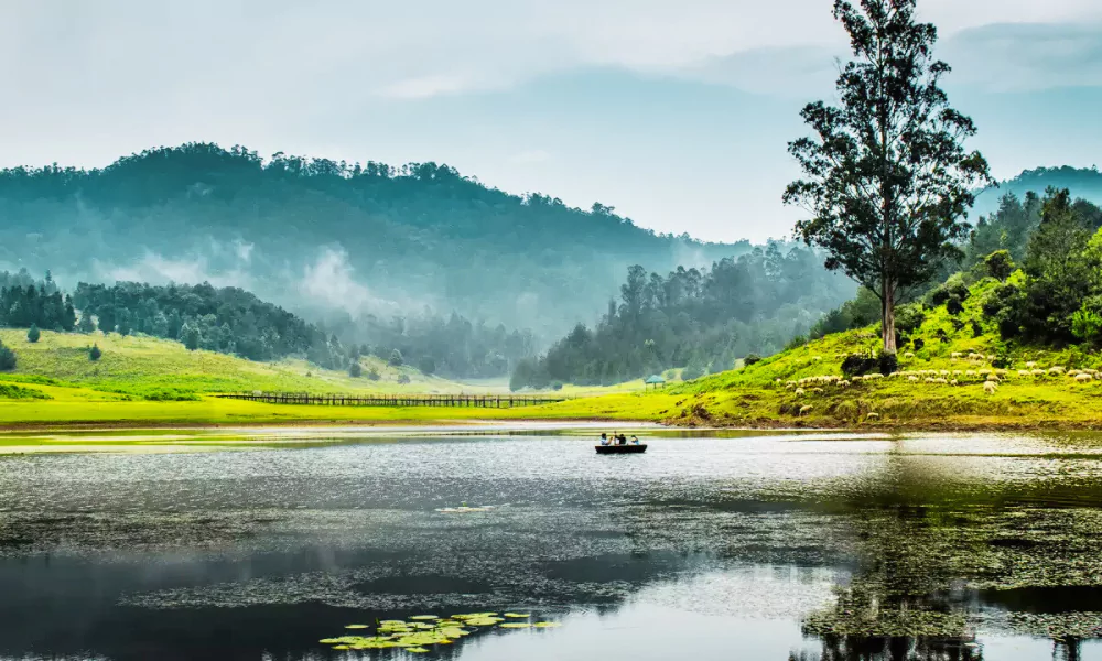Kodaikanal