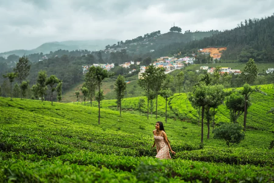 Ooty Family