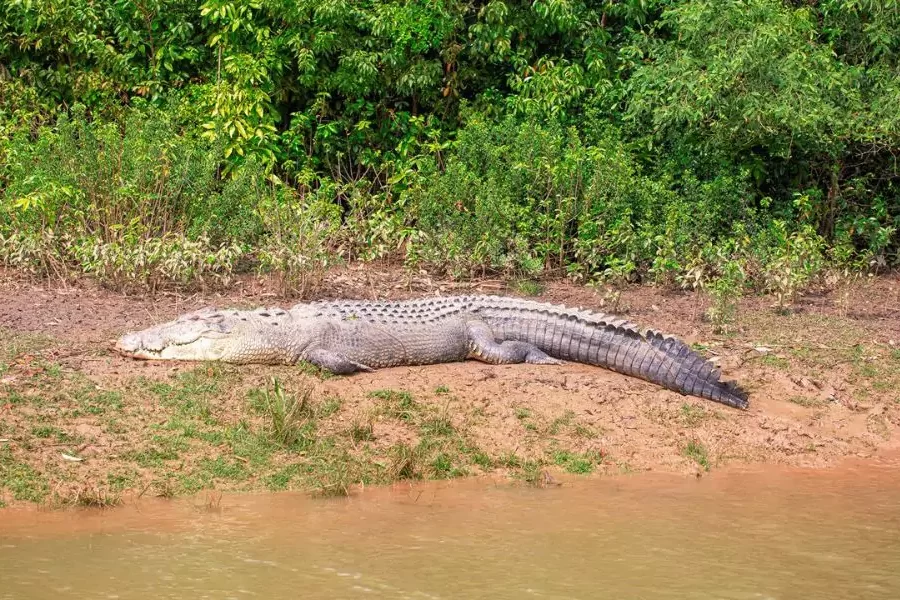 Bhitarkanika National Park